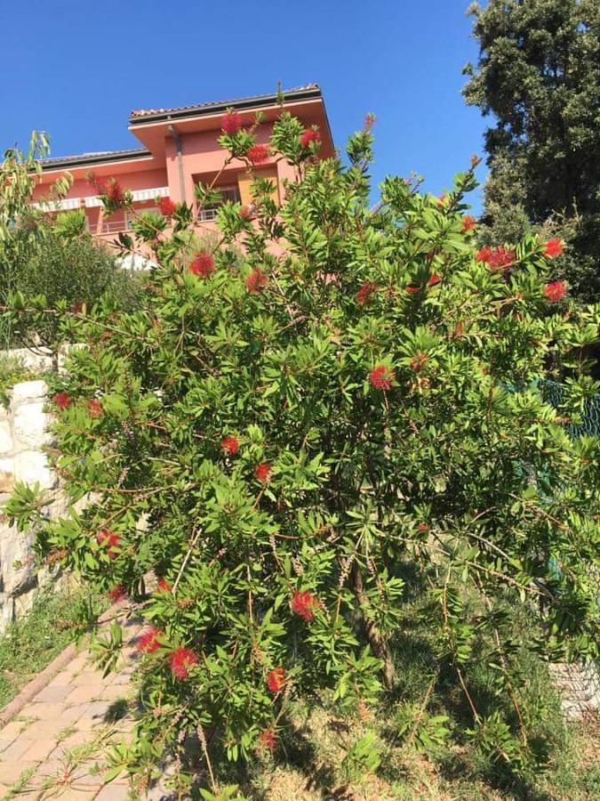 Studio Кампор Экстерьер фото